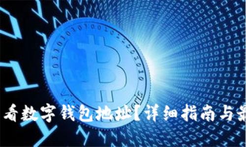 :怎么查看数字钱包地址?详细指南与最佳实践
