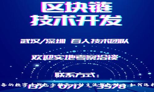 2023年必备的数字币钱包全指南：5种主流钱包对比，如何选择安全存储