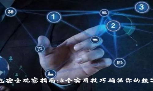 区块链钱包安全观察指南：5个实用技巧确保你的数字资产安全