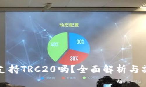 TP钱包支持TRC20吗?全面解析与操作指南