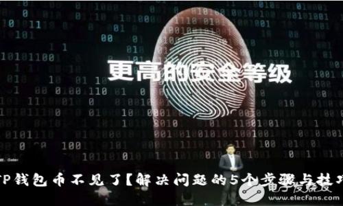 TP钱包币不见了?解决问题的5个步骤与技巧