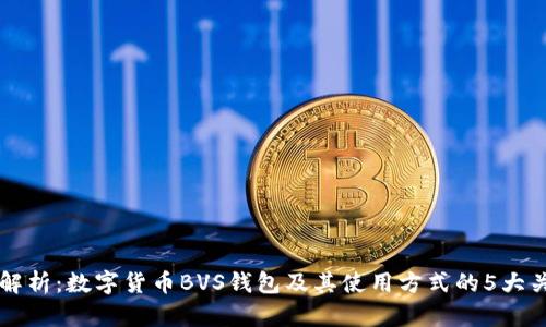 深度解析：数字货币BVS钱包及其使用方式的5大关键点
