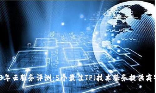 2023年云服务评测:5个最佳TP(技术服务提供商)推荐