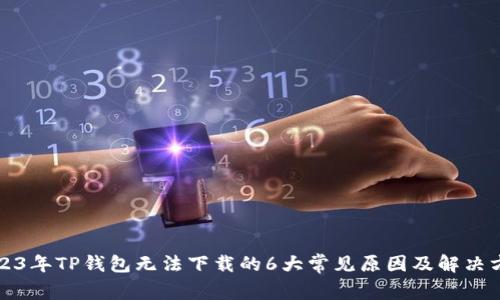 2023年TP钱包无法下载的6大常见原因及解决方法