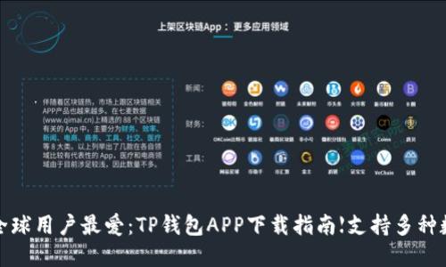 2023年全球用户最爱:TP钱包APP下载指南【支持多种数字货币】