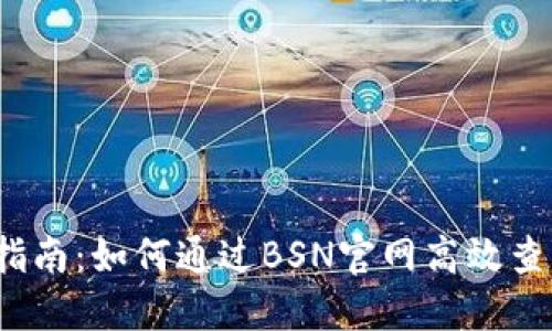 2023年全面指南：如何通过BSN官网高效查询区块链信息