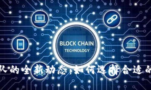 2023年TP钱包开发团队的全新动态：如何选择合适的区块链钱包开发团队？