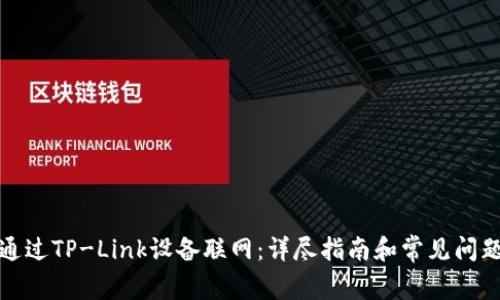 如何通过TP-Link设备联网：详尽指南和常见问题解答