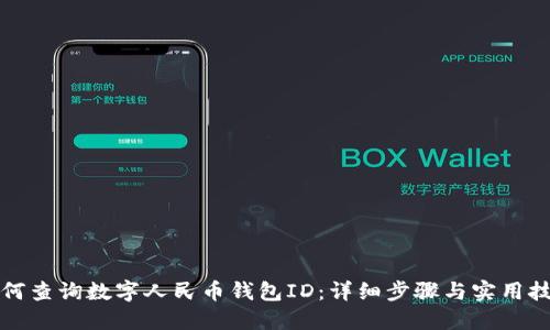 如何查询数字人民币钱包ID：详细步骤与实用技巧