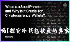 TP钱包冷钱包安全吗？探究