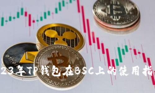 深入解析：2023年TP钱包在BSC上的使用指南和最佳实践
