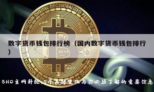 BHD主网升级:5个关键变化与你必须了解的重要信息